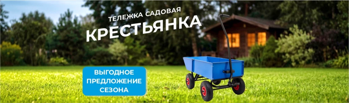 Выгодное предложение сезона